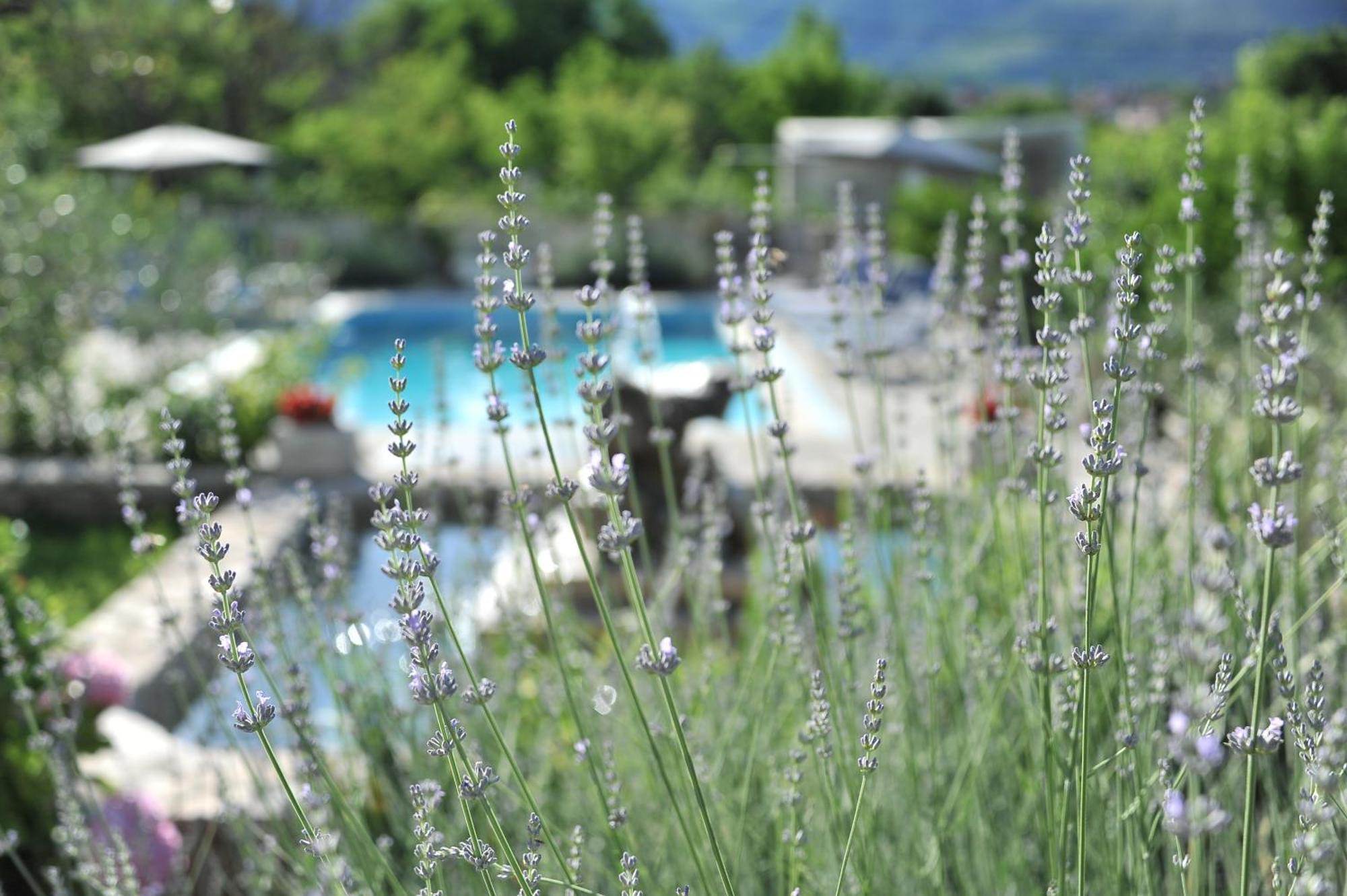 Apartmán Pool House Maslina Mostar Exteriér fotografie
